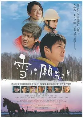 向雪祈祷雪に願うこと海报