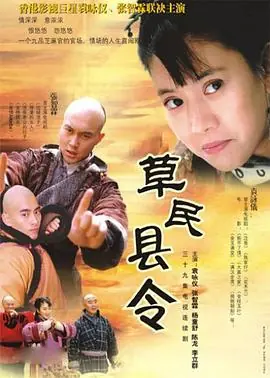 草民县令海报
