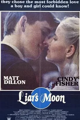 骗子的月亮海报