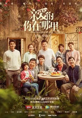 亲爱的,你在哪里[电影解说]海报