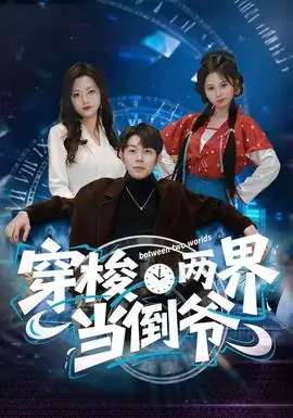 穿梭两界当倒爷海报