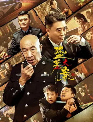 盗墓大案追捕行动海报