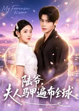 陆爷,夫人马甲遍布全球海报