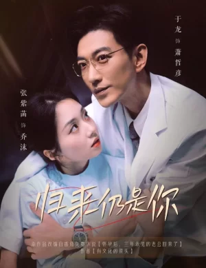 归来仍是你海报