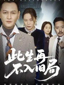 此生再不入旧局海报