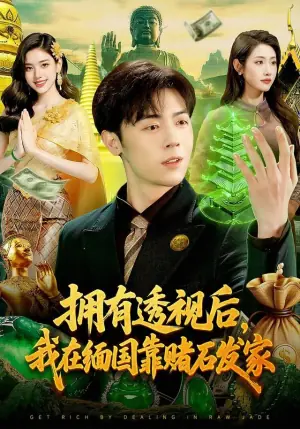 拥有透视后,我在缅国靠赌石发家海报