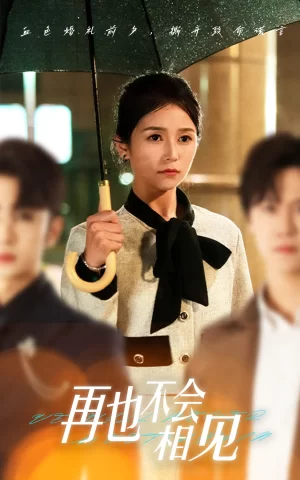 再也不会相见海报