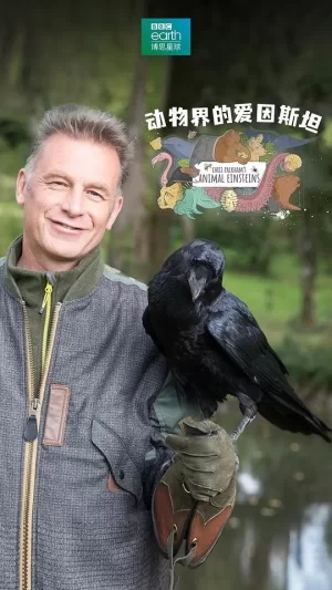 动物界的爱因斯坦第一季海报