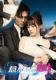 惹不起的她海报