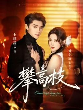 攀高枝海报