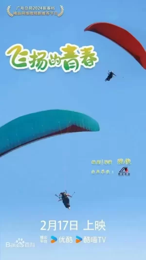 飞扬的青春海报