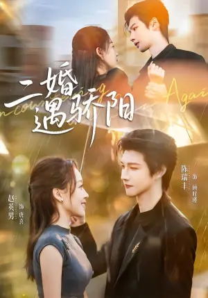 二婚遇骄阳海报