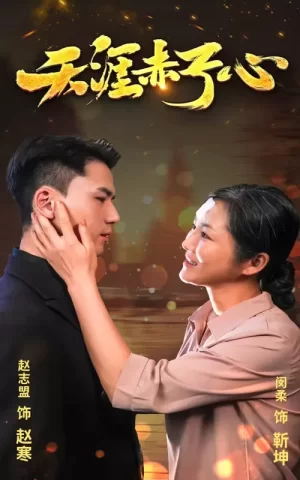 天涯赤子心海报