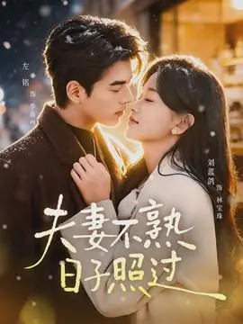 夫妻不熟,日子照过海报