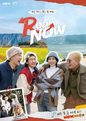 RealNow海报