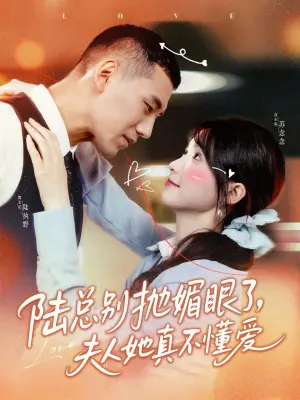 陆总别抛媚眼了,夫人她真不懂爱海报