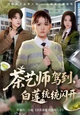 茶艺师驾到白莲统统闪开海报