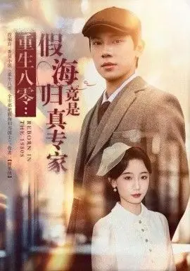 重生八零:假海归竟是真专家海报