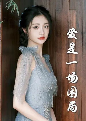 爱是一场困局2海报