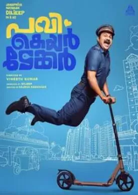 单身汉帕维海报