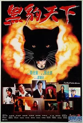 黑豹天下[影视解说]海报