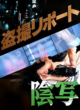 私阴盗摄海报