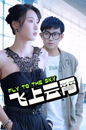 飞上云霄海报
