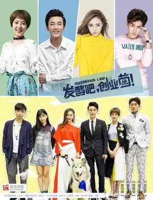 发酵吧,创业菌海报