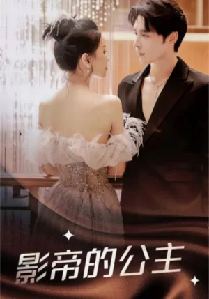 影帝的公主海报