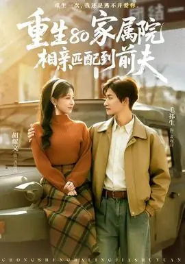 重生80家属院,相亲匹配到前夫海报