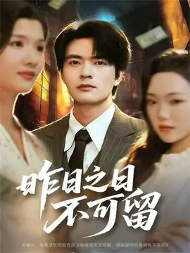 昨日之日不可留海报