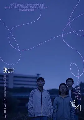 蜂鸟벌새海报