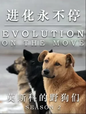 进化永不停海报