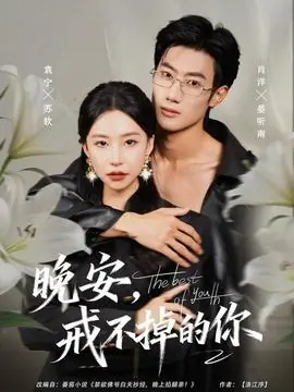 晚安,戒不掉的你海报