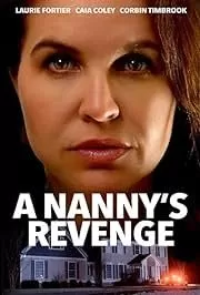 复仇保姆海报