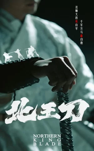 北王刀海报