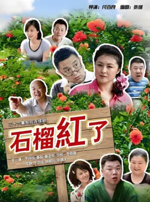 火红的日子海报