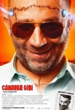 卡纳瓦尔·吉比海报