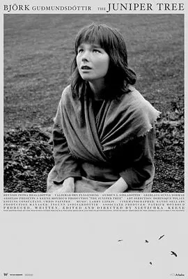 女巫恋人[电影解说]海报