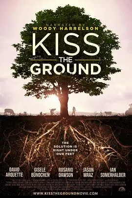 亲吻地面KisstheGround海报