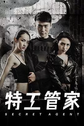 特工管家海报