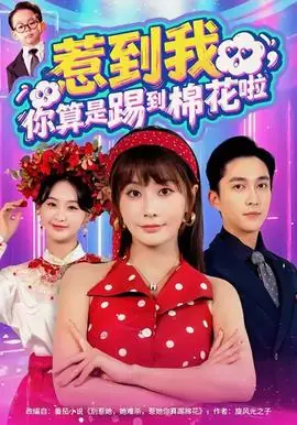 惹到我,你算是踢到棉花啦海报