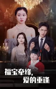 福宝牵缘爱的重逢海报