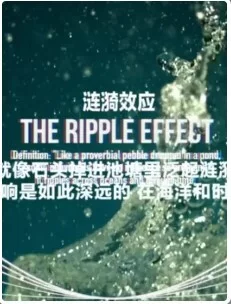 涟漪效应第一季海报