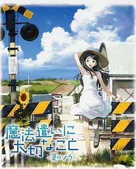 魔法使的注意事项:夏之空海报