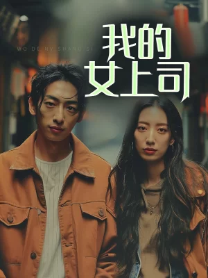 我的女上司海报