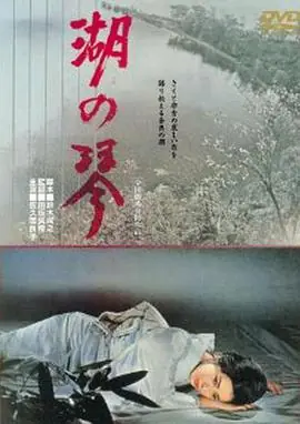 湖之琴海报