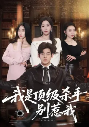 我是顶级杀手,别惹我海报