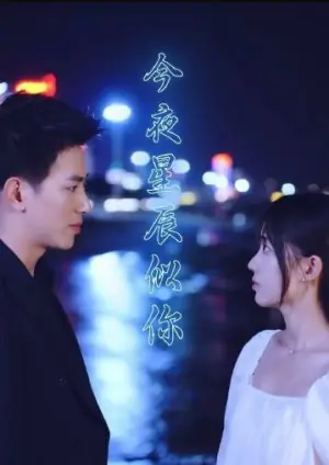 今夜星辰似你海报