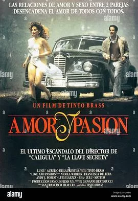 爱与激情海报